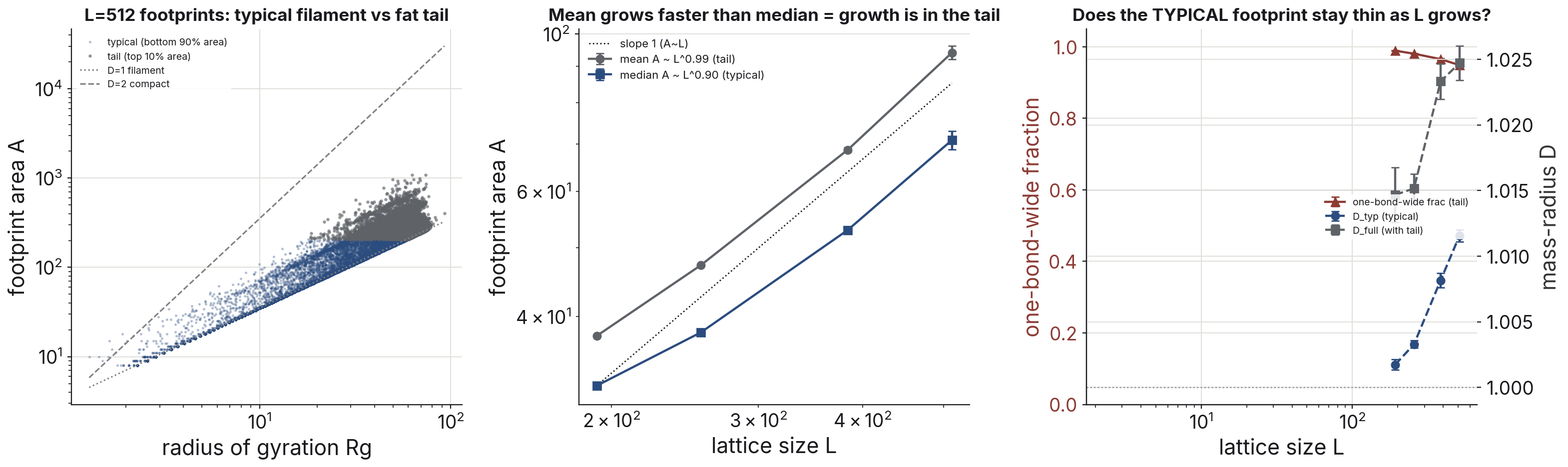 Three panels. Left: footprint area versus radius at L = 512 with the bottom 90 percent of avalanches hugging the D = 1 line and only the top decile bulging above it. Middle: mean footprint area grows faster with lattice size than the median. Right: the typical avalanche's mass-radius dimension stays at 1.00 across lattice sizes and tail footprints stay about one bond wide.